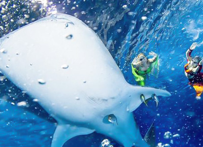 [珠海汽車2日]長隆海洋王國玩到閉園